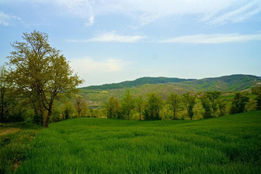 Agriturismo Montelovesco Brunetta Bagian luar foto