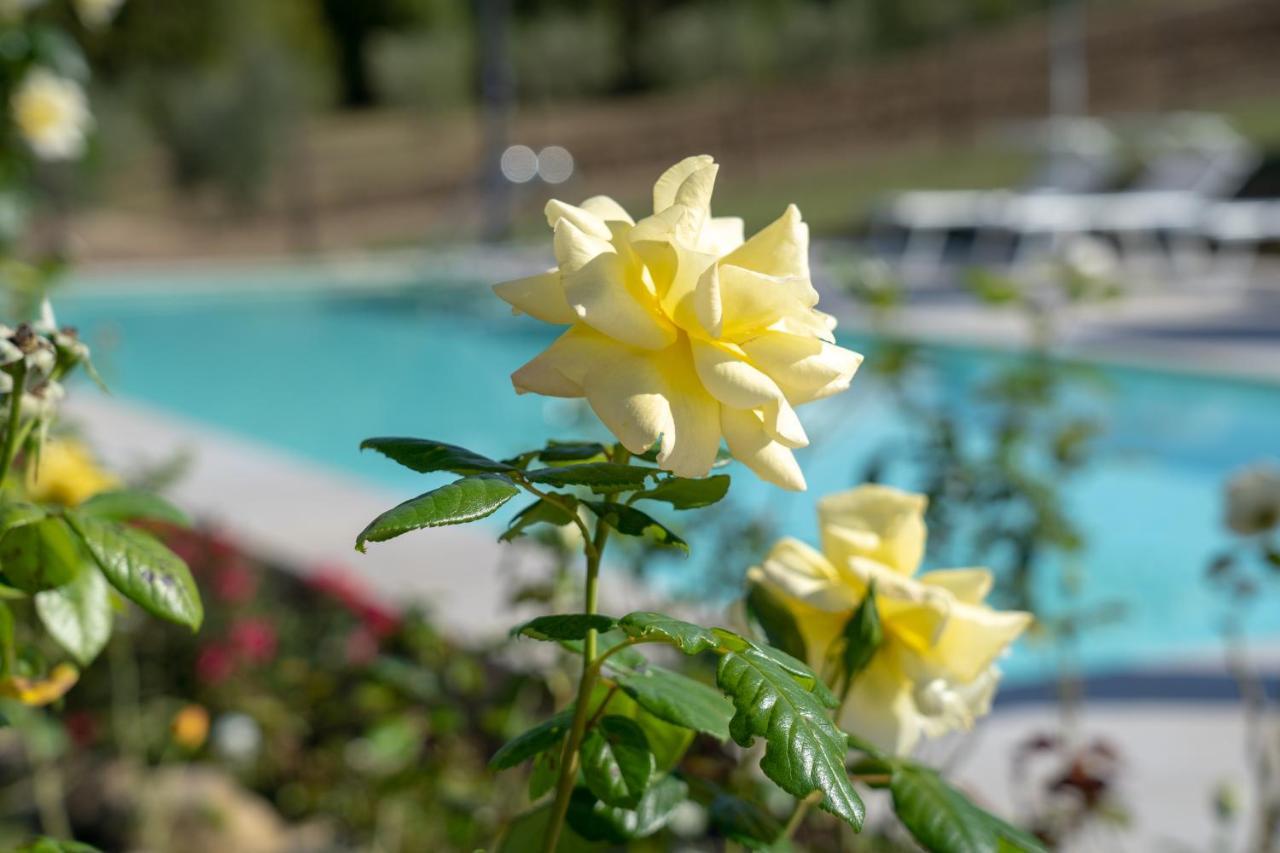 Agriturismo Montelovesco Brunetta Bagian luar foto