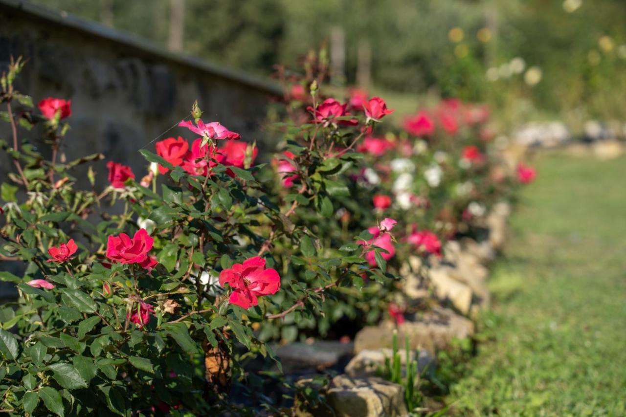 Agriturismo Montelovesco Brunetta Bagian luar foto